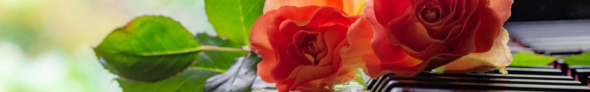 オレンジのバラとピアノ